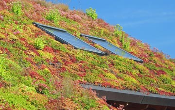 Thornham living roof systems